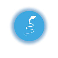 Poor Sperm  Health & Motility