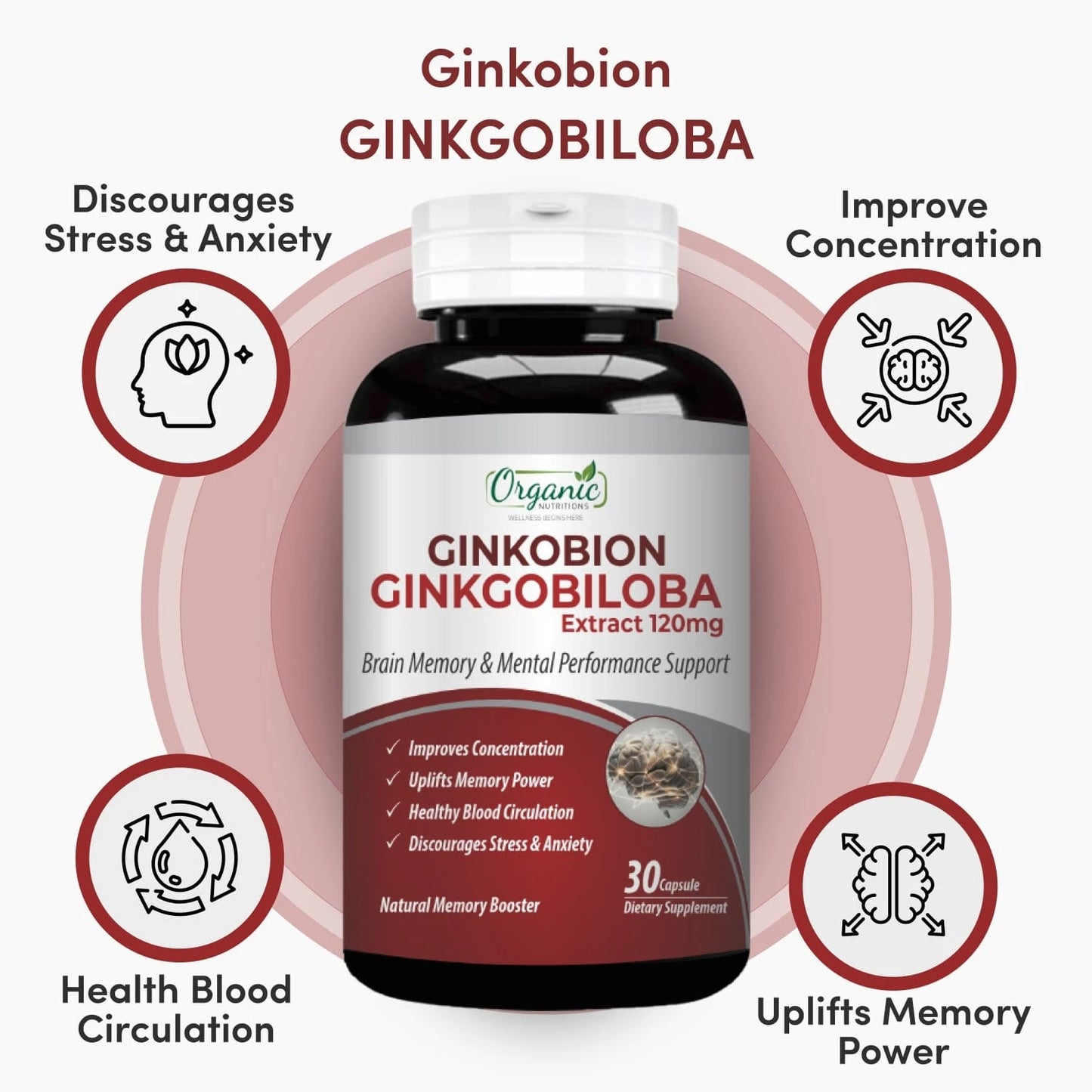 Ginkobion Ginkgobiloba - Organic Nutritions