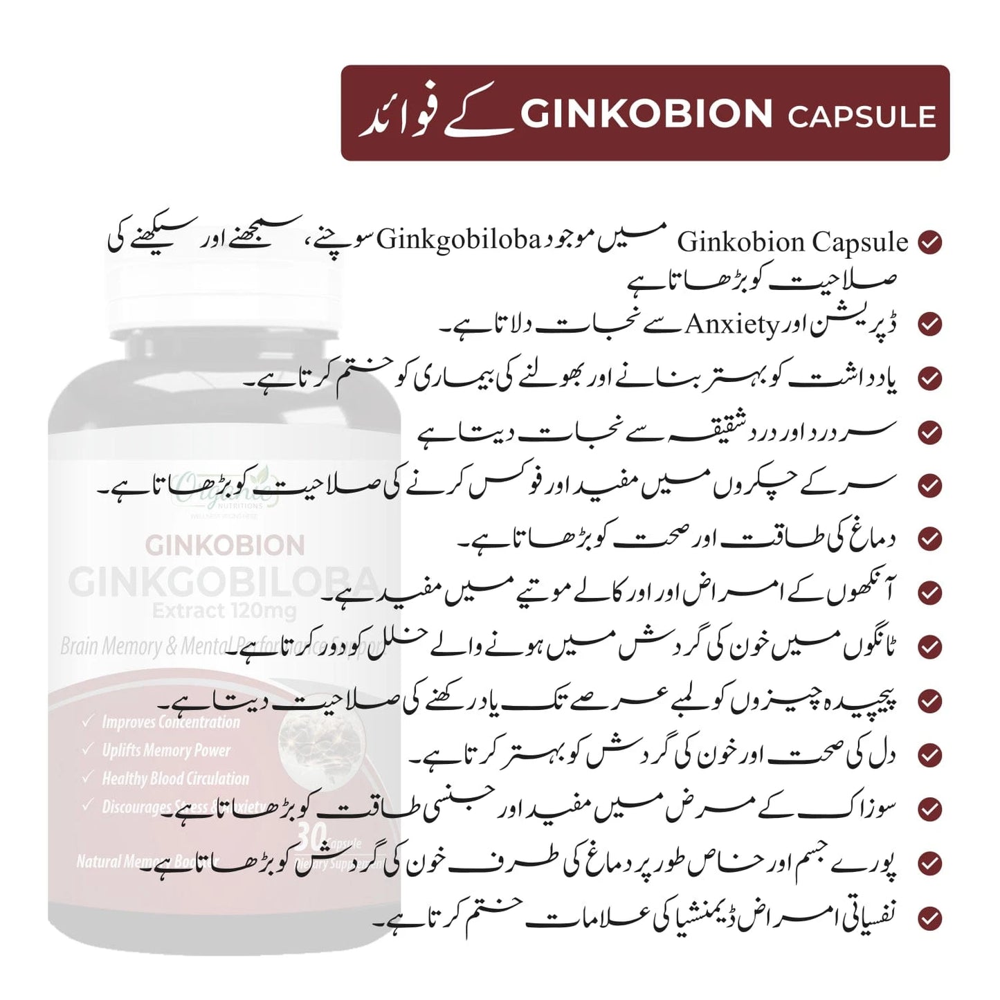 Ginkobion Ginkgobiloba - Organic Nutritions