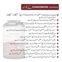 Ginkobion Ginkgobiloba - Organic Nutritions